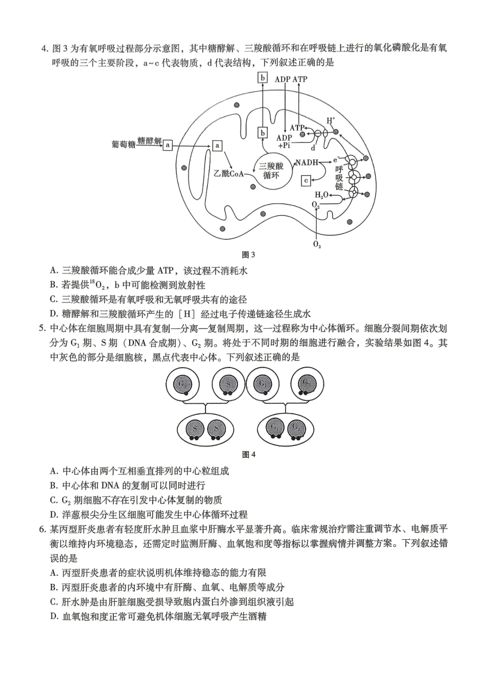巴蜀中学2026届高考适应性月考卷（八）生物.pdf_第2页