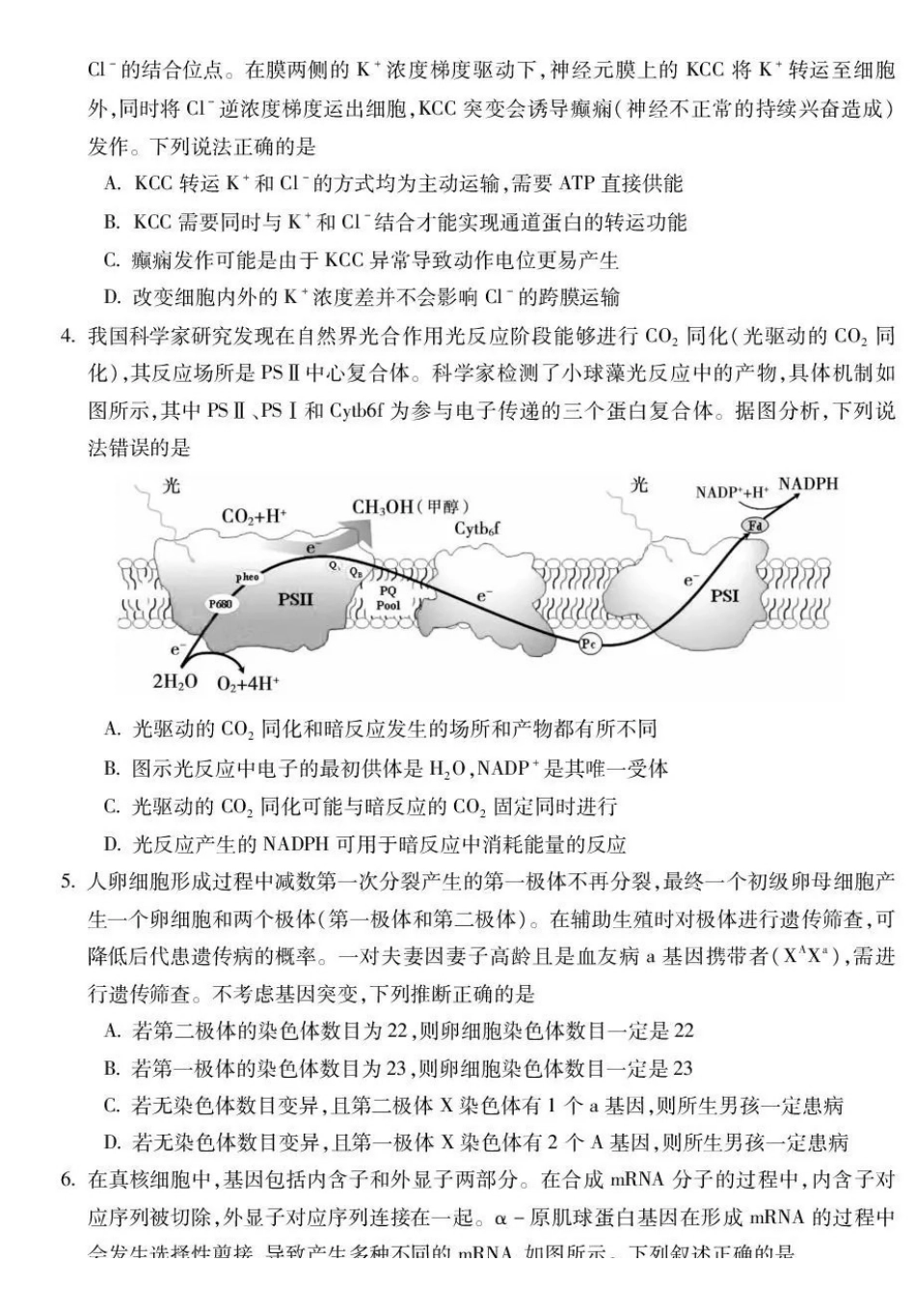 蚌埠市2026届高三年级适应性考试生物(1).pdf_第2页