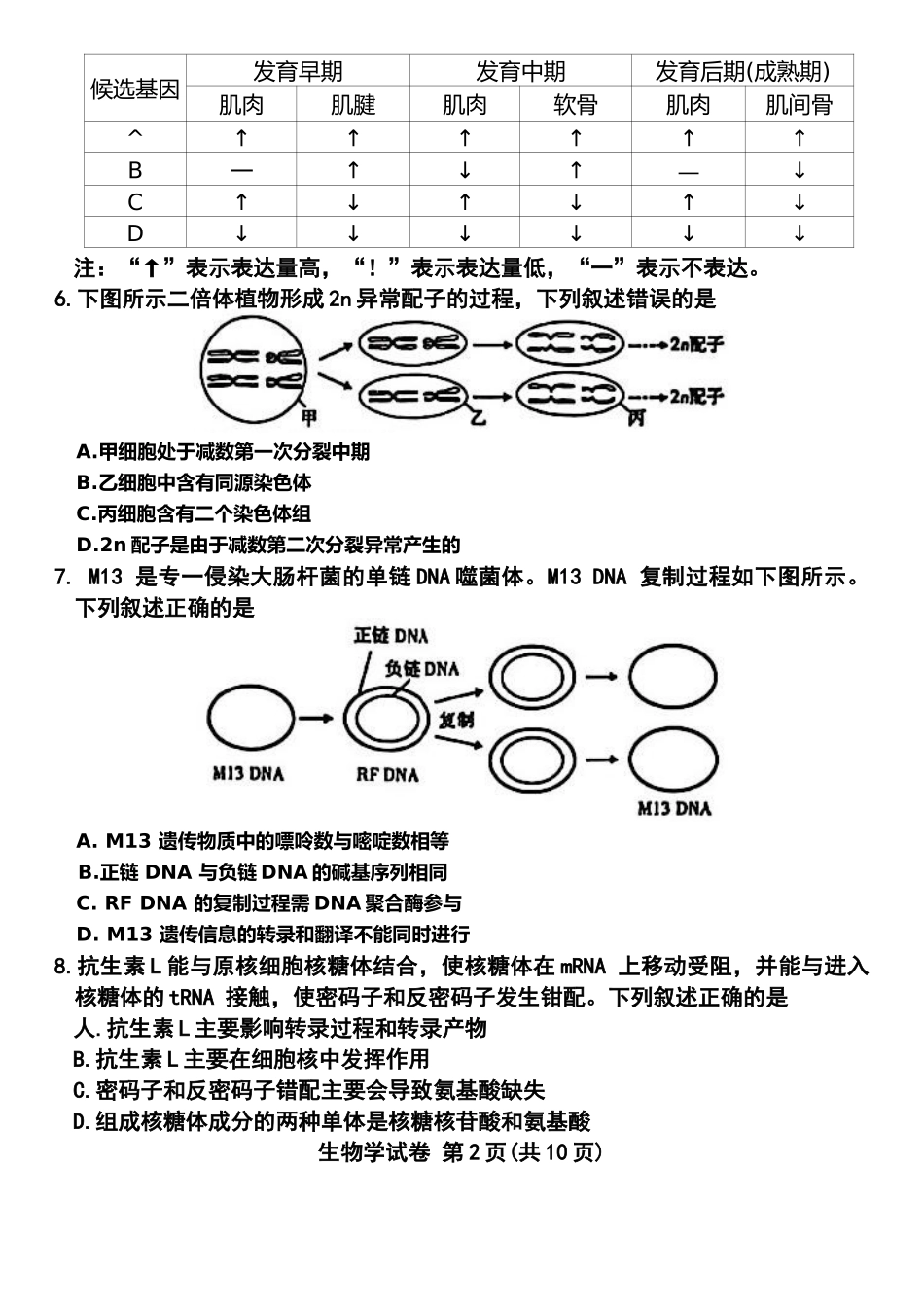 包头市2026届高三下学期二模考试生物.docx_第2页
