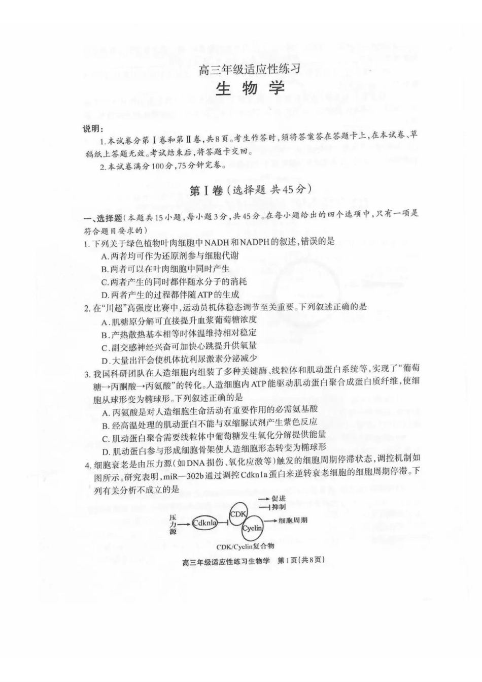 德阳市2026届高三年级适应性练习生物.pdf_第1页