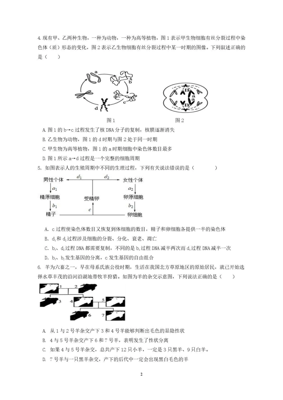 广东香山中学、高要一中、广信中学2024-2025学年高一下学期第一次教学质量检测生物试题.pdf_第2页