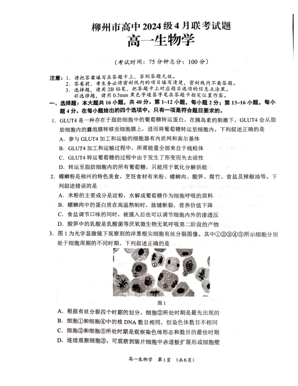 广西柳州市2024-2025学年高一下学期4月联考生物试卷_副本.pdf_第1页