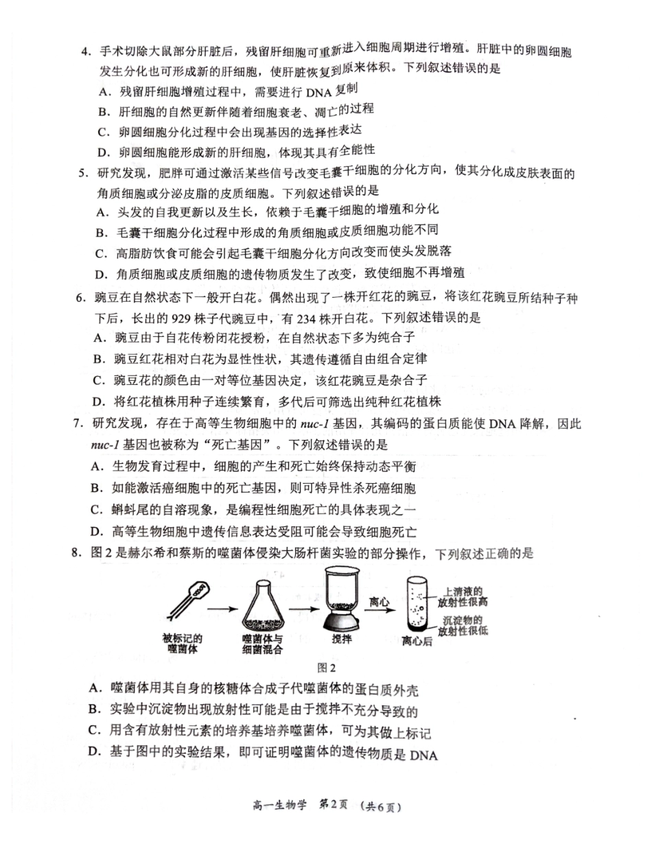 广西柳州市2024-2025学年高一下学期4月联考生物试卷_副本.pdf_第2页
