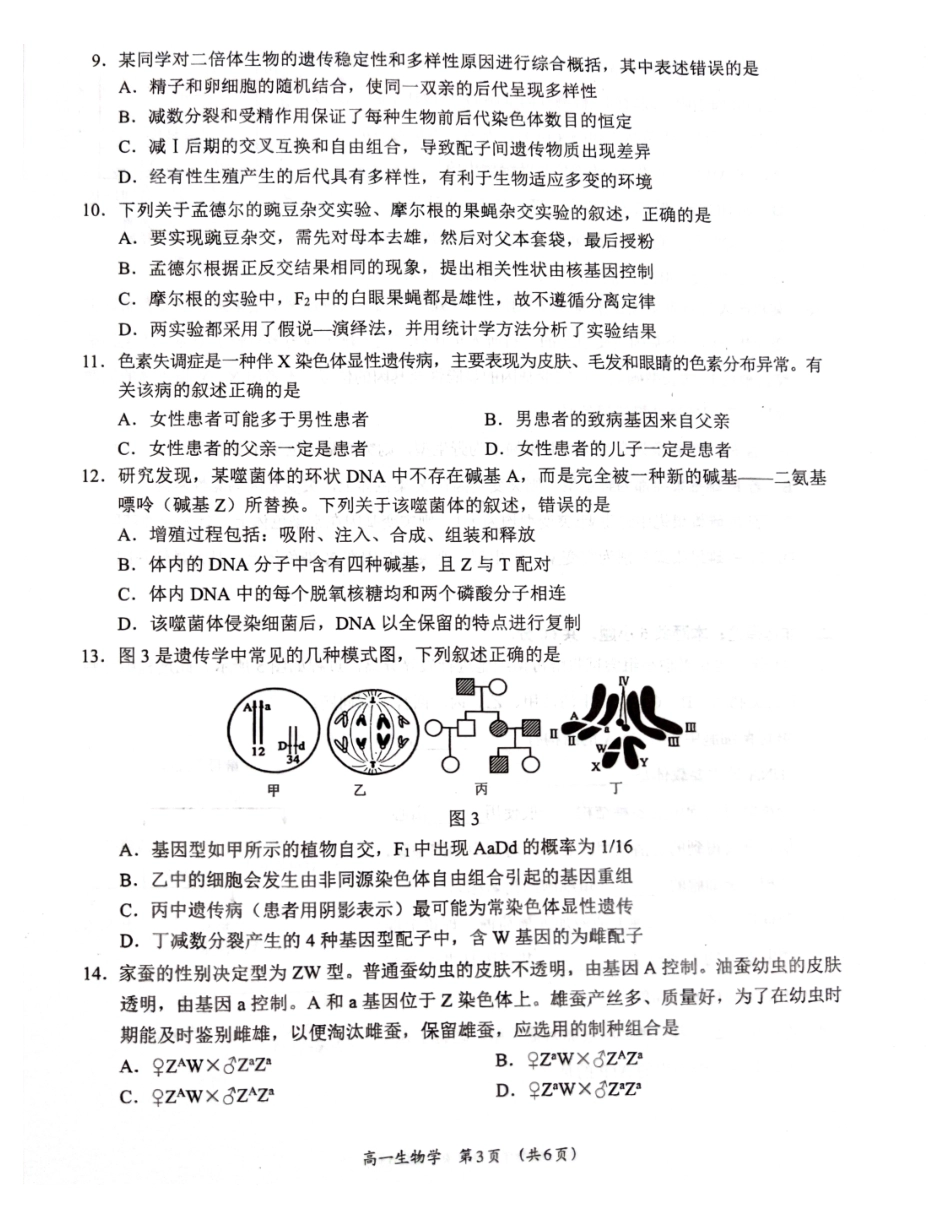 广西柳州市2024-2025学年高一下学期4月联考生物试卷_副本.pdf_第3页