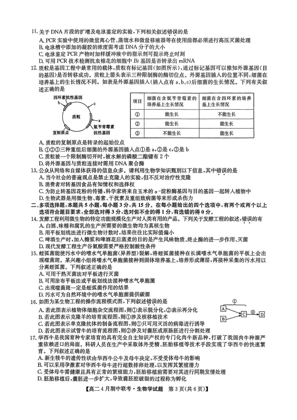 河北保定市六校联盟2024-2025学年高二下学期4月期中考试生物试题（有答案）_副本.pdf_第3页