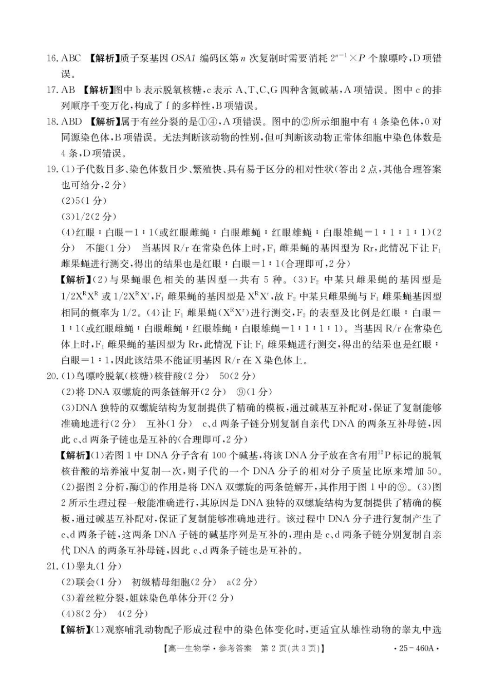 河北邢台市卓越联盟2024-2025学年高一下学期4月期中生物答案.pdf_第2页