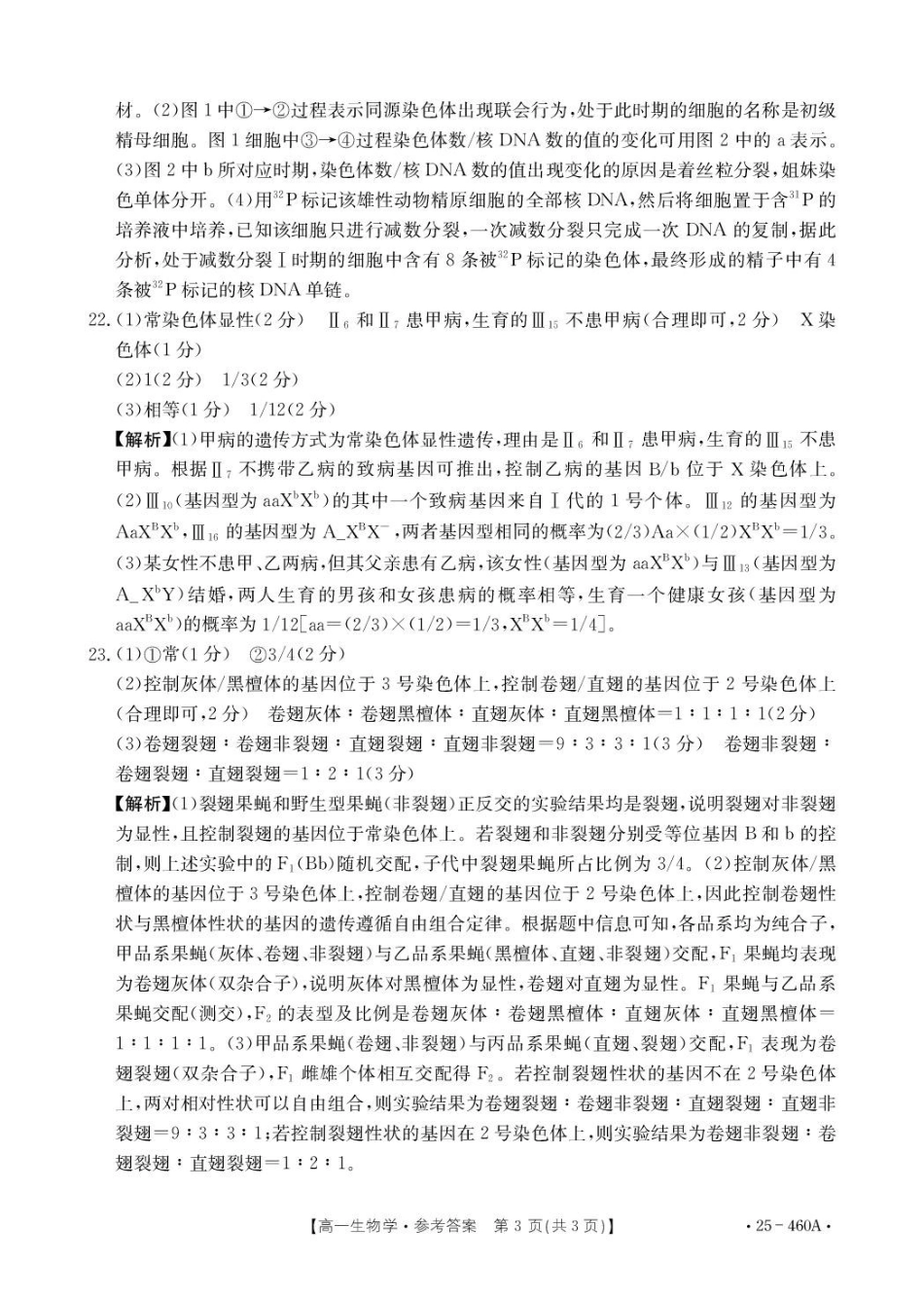 河北邢台市卓越联盟2024-2025学年高一下学期4月期中生物答案.pdf_第3页