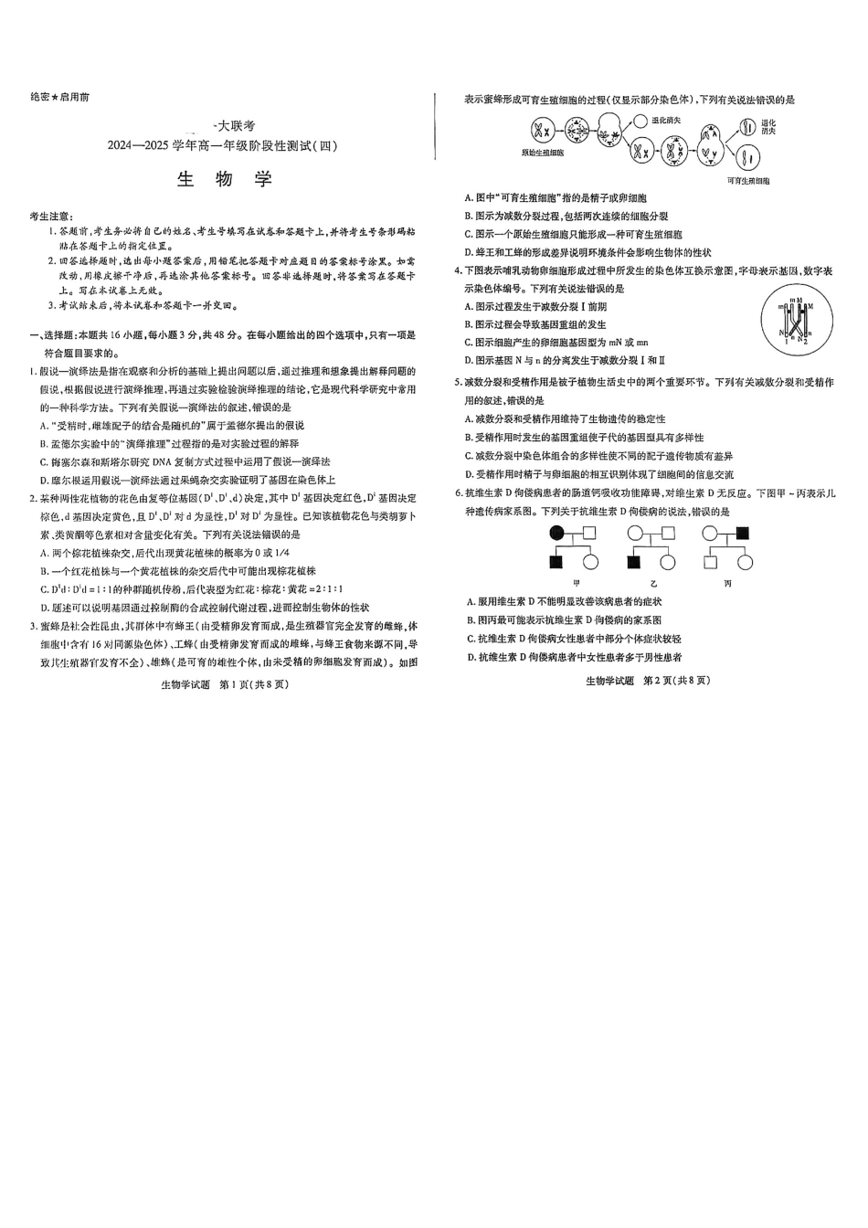 河南天一大联考2024-2025高一下学期5月阶段性测试（四）-生物试卷+答案_副本.pdf_第1页