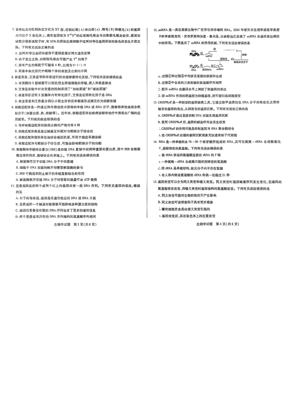 河南天一大联考2024-2025高一下学期5月阶段性测试（四）-生物试卷+答案_副本.pdf_第2页