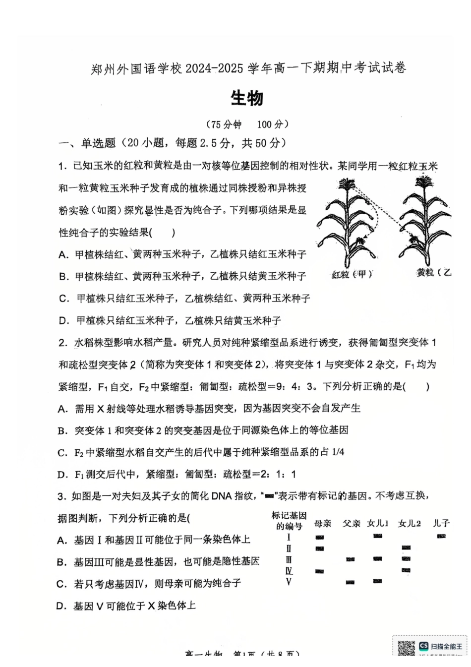河南郑州外国语学校2024-2025学年高一下学期期中考试生物试卷.pdf_第1页