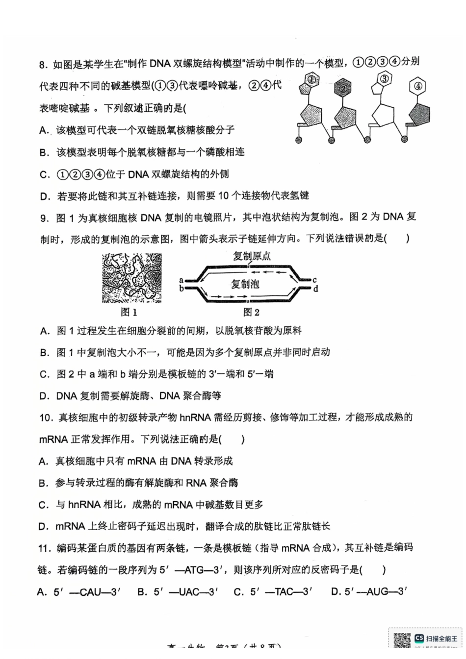 河南郑州外国语学校2024-2025学年高一下学期期中考试生物试卷.pdf_第3页