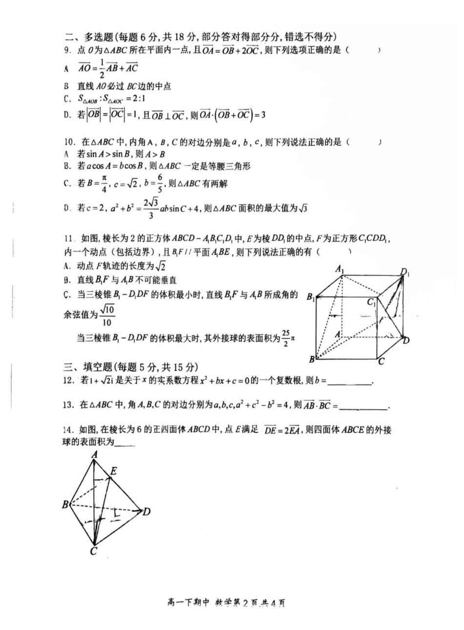 河南郑州外国语学校2024-2025学年高一下学期期中考试数学试卷.pdf_第2页