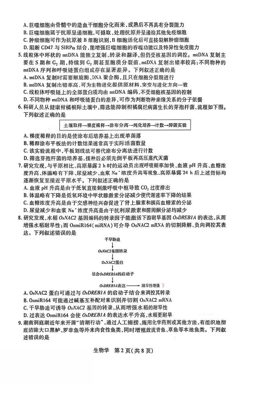 湖南、广西多校2026届高三下学期4月期中考试生物+答案.pdf_第2页