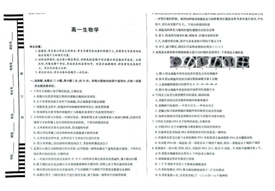 湖南湘一名校联盟2024-2025学年高一下学期4月期中联考生物试题_副本.pdf_第1页