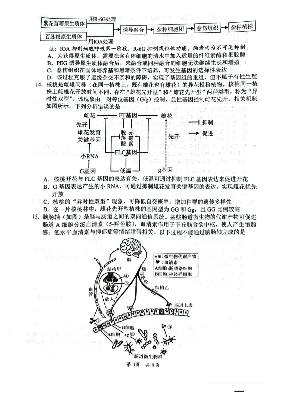 惠州市、韶关市2026届高三下学期4月模拟考试生物.pdf_第3页