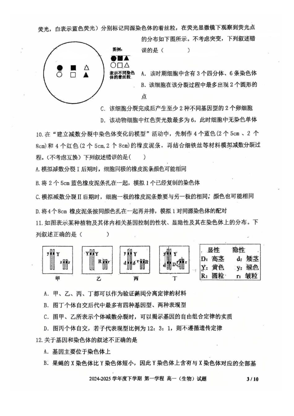 吉林长春市十一高中2024-2025学年高一下学期4月第一学程考试生物试卷_副本.pdf_第3页
