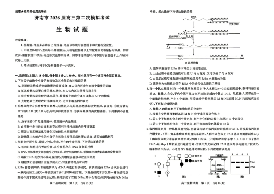 济南市2026届高三第二次模拟考试生物.pdf_第1页
