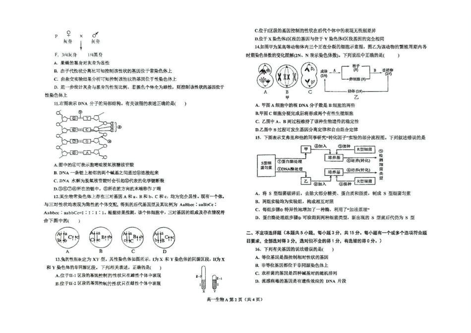 辽宁鞍山市2024-2025学年高一下学期期中考试生物（A）含答案_副本.pdf_第2页