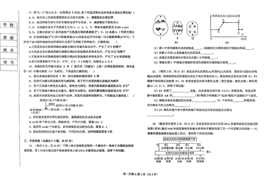 辽宁鞍山市2024-2025学年高一下学期期中考试生物（A）含答案_副本.pdf_第3页