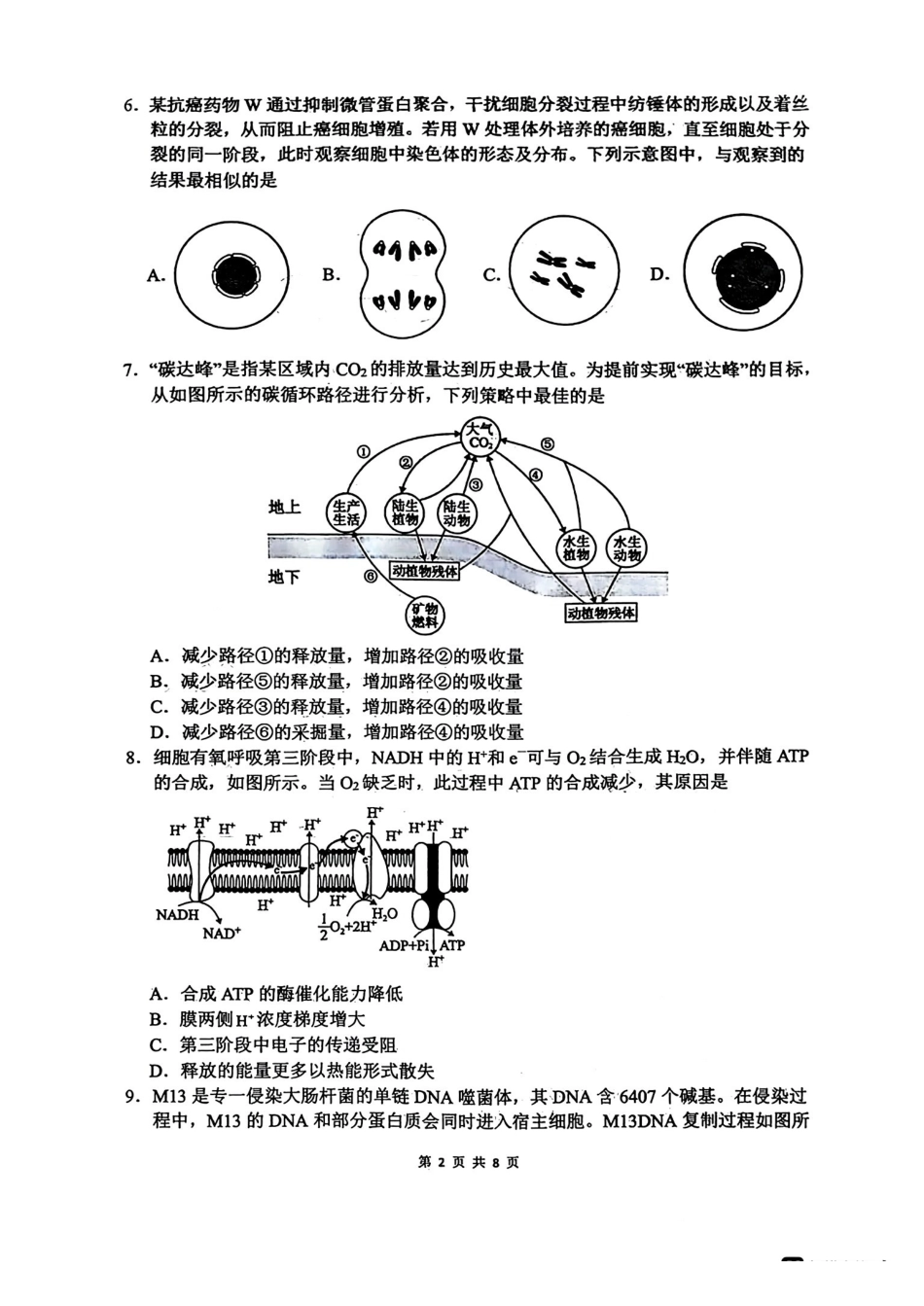 绵阳南山中学高2023级绵阳三诊模拟试题生物+答案.pdf_第2页