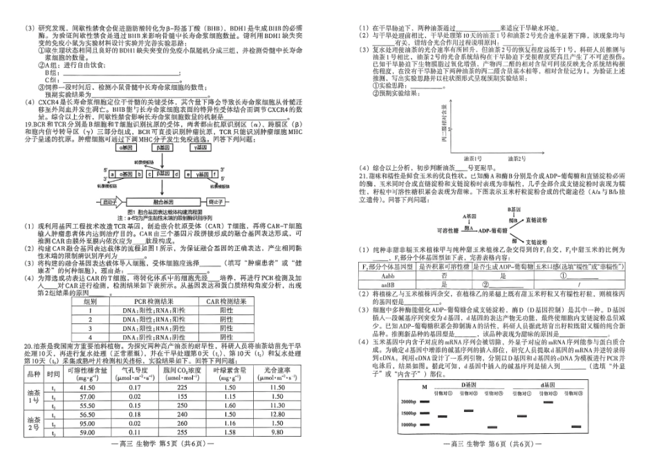 南昌市2026届高三年级四月检测生物.pdf_第3页