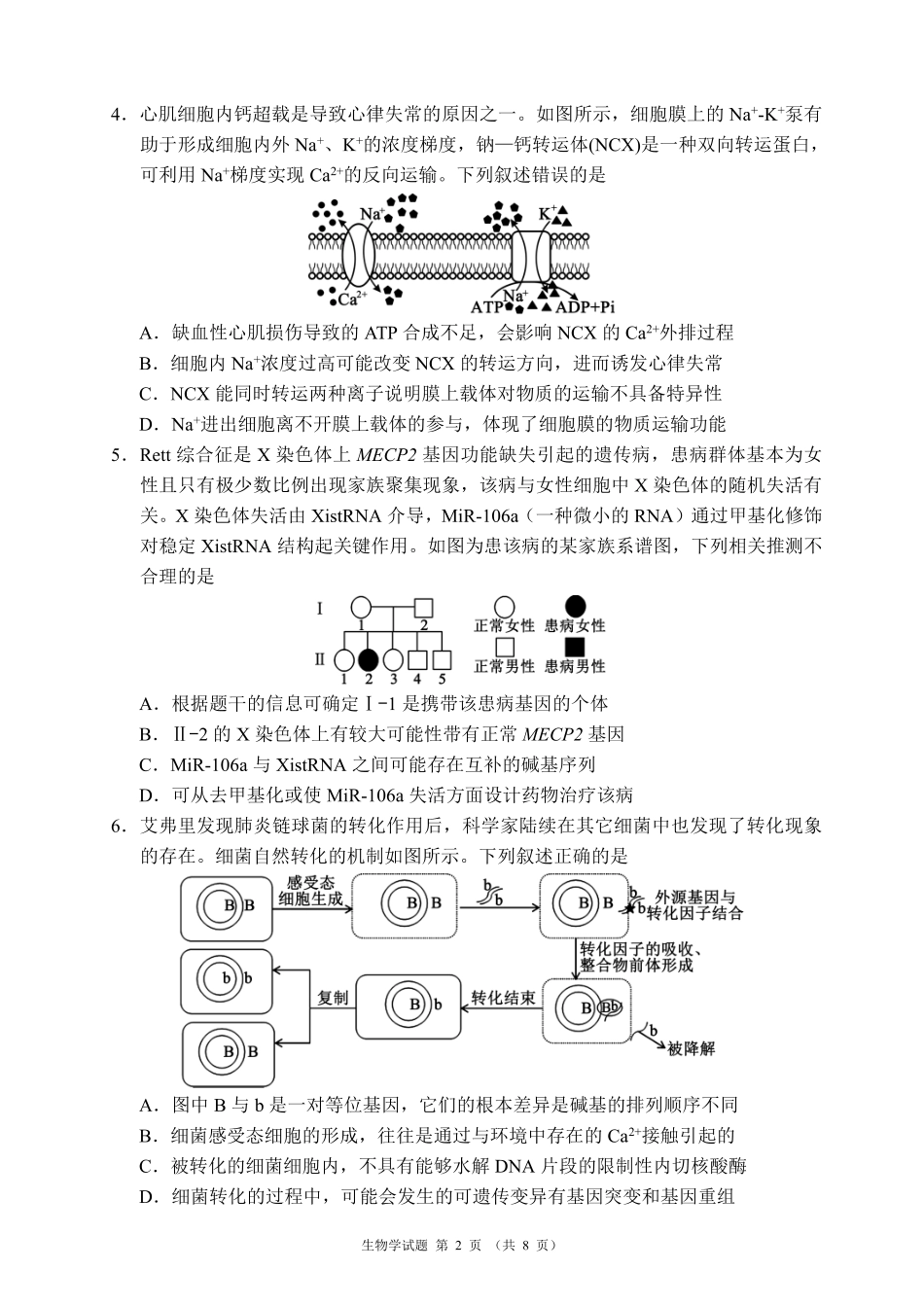 蓉城名校联盟2026届高三第二次联合诊断性考试生物.pdf_第2页