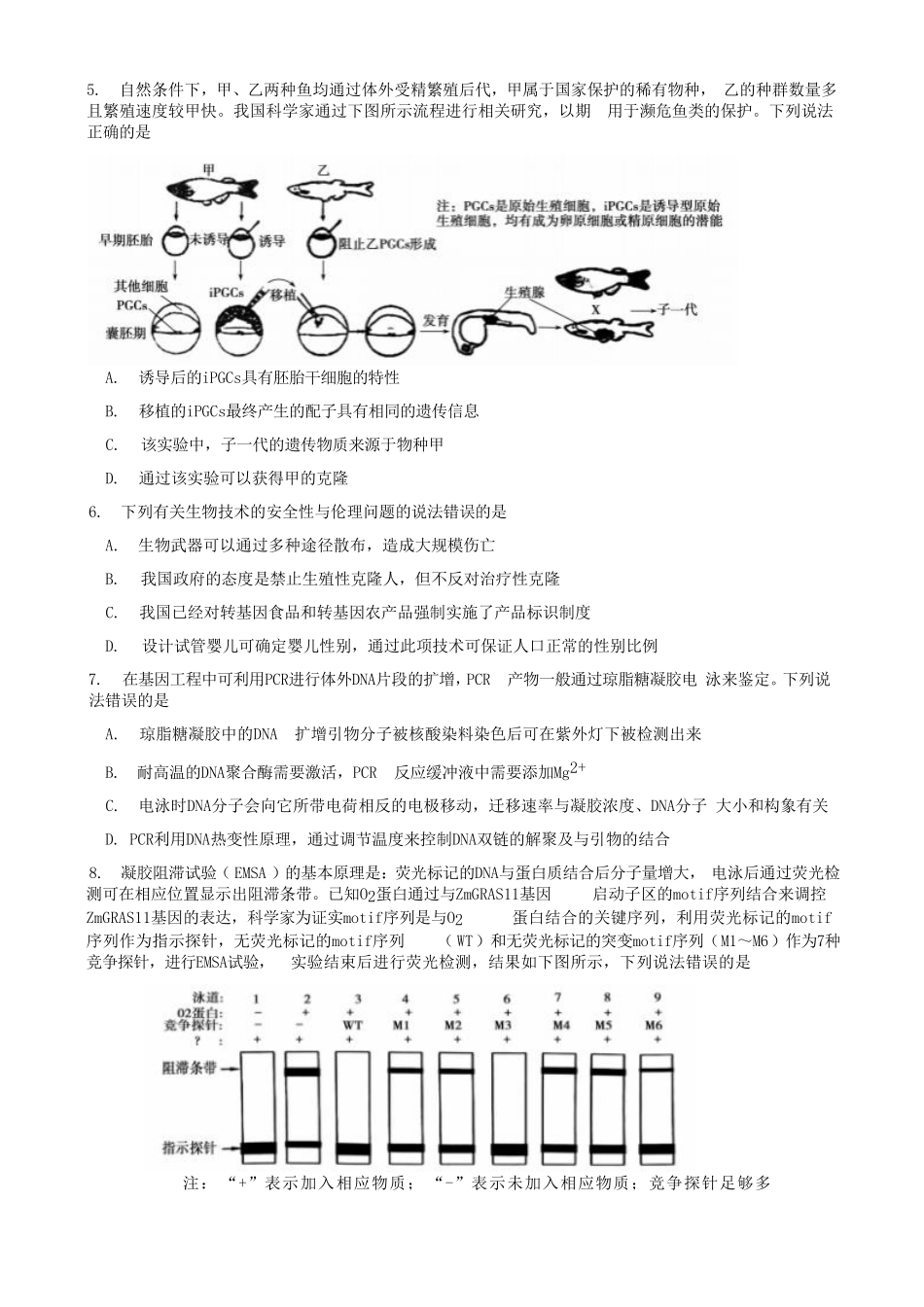 山东泰安市2024-2025学年高二下学期4月期中考试生物含答案_副本.pdf_第2页