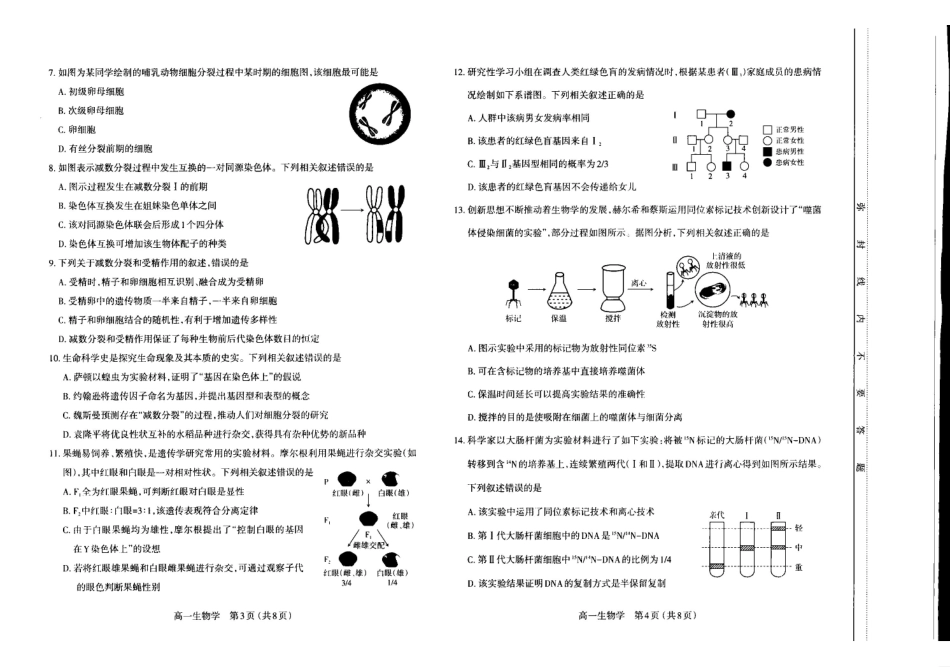 山西太原市2024-2025学年高一下学期期中考试生物含答案_副本.pdf_第2页