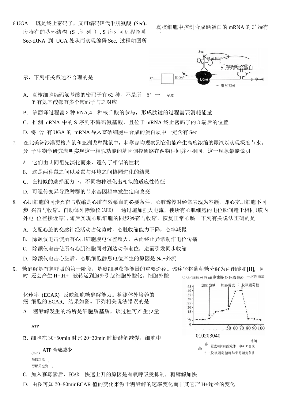 生物+答案重庆市2026年普通高等学校招生全国统一考试康德调研（五）（4月中旬）.docx_第2页