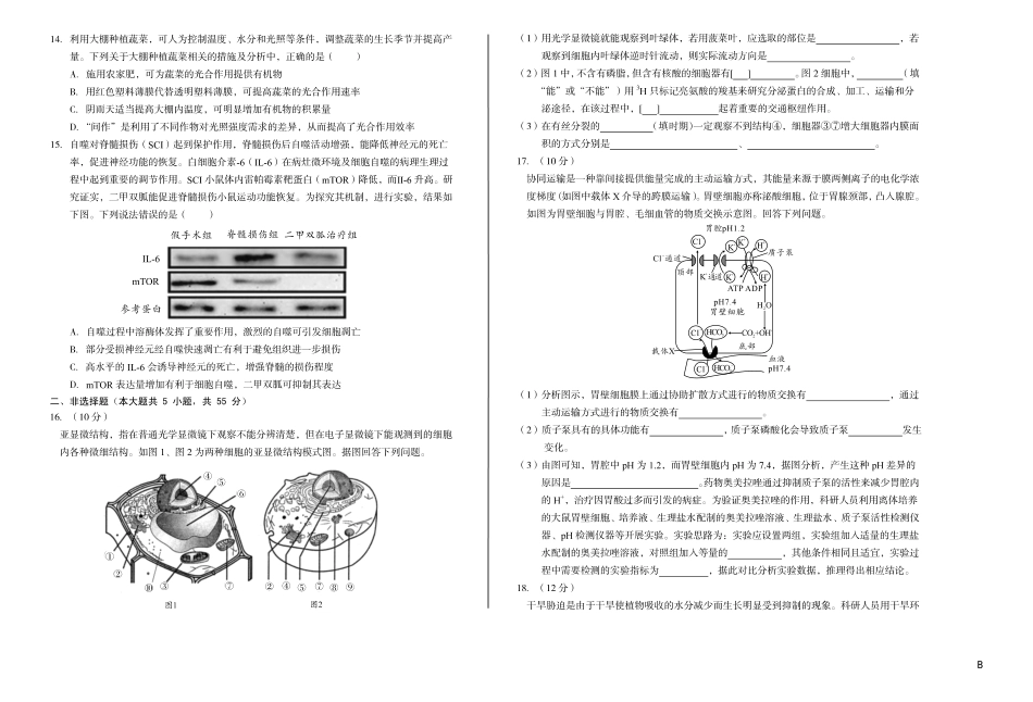 生物-安徽A10联盟2024-2025学年高一下学期3月阶段考_副本.pdf_第3页