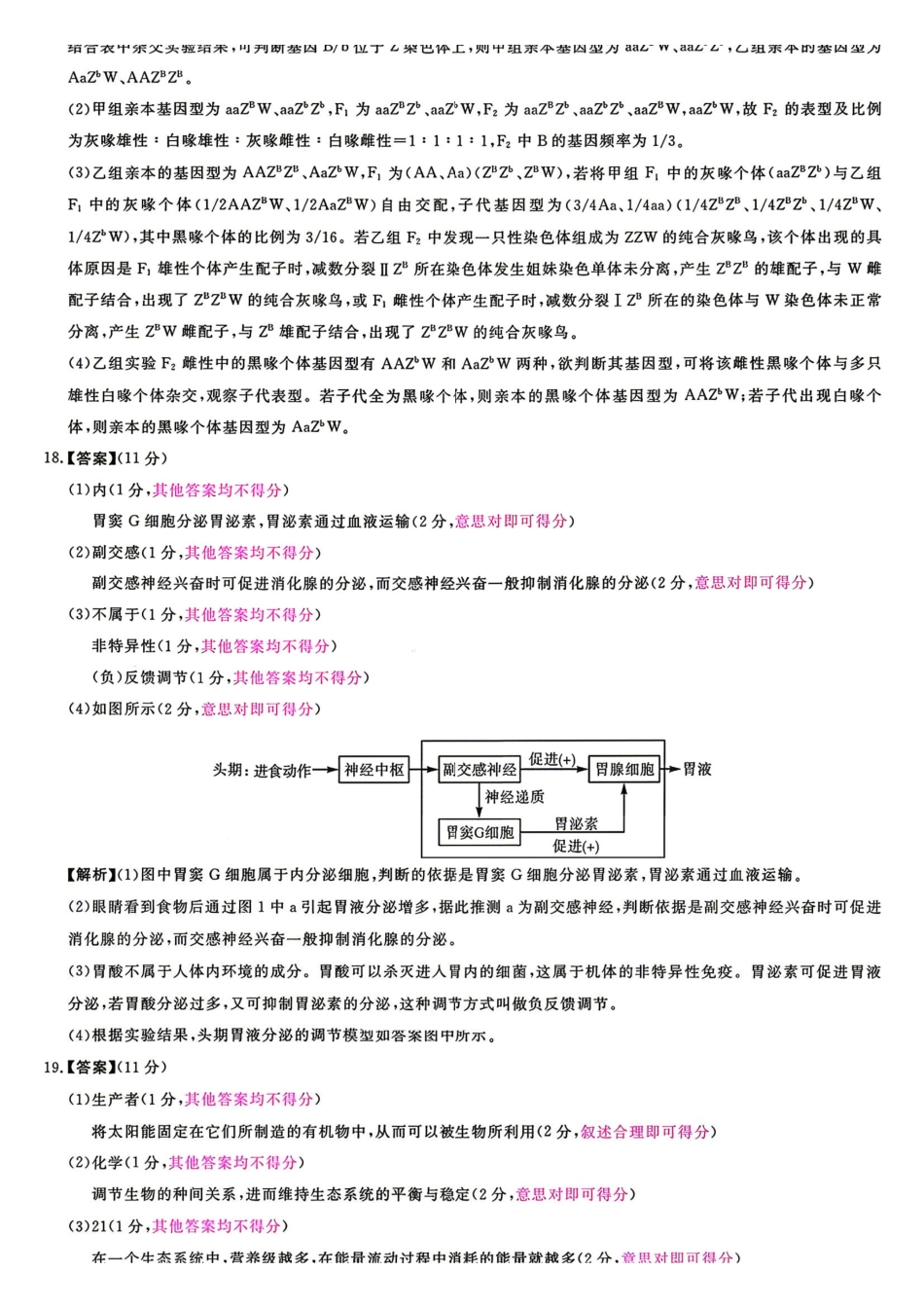 生物安徽华师联盟2026届高三年级第二学期4月质量检测（4.9-410）(1).pdf_第3页