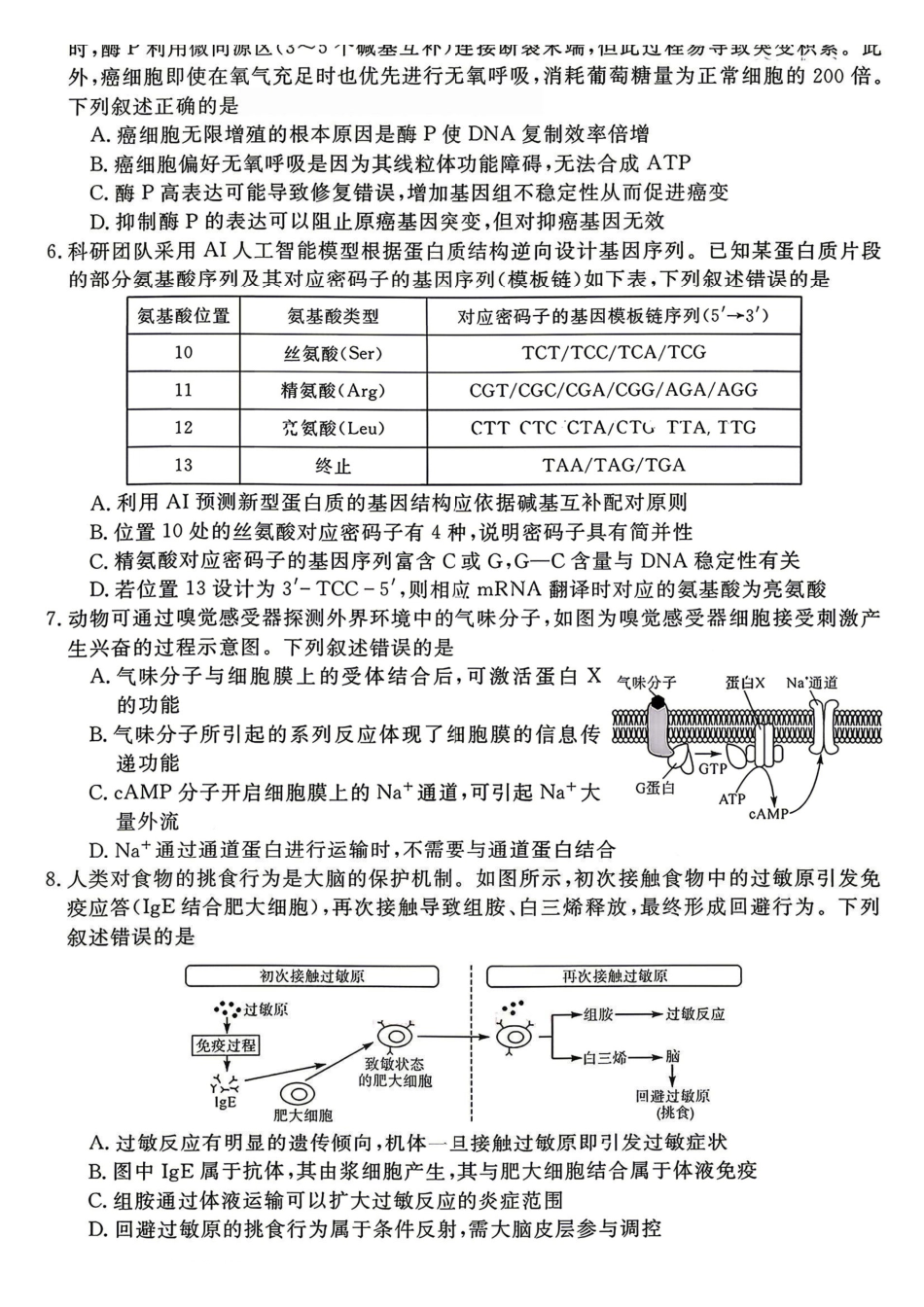 生物安徽华师联盟2026届高三年级第二学期4月质量检测（4.9-410）.pdf_第2页
