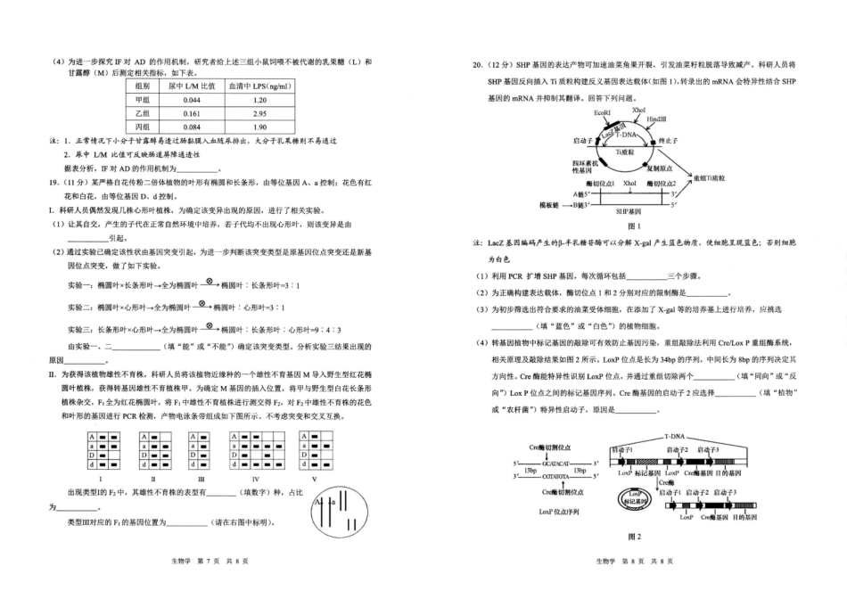 生物安徽马鞍山市2026年马鞍山市高三第二次教学质量监测（马鞍山高三二模）(4.15-4.17).pdf_第3页