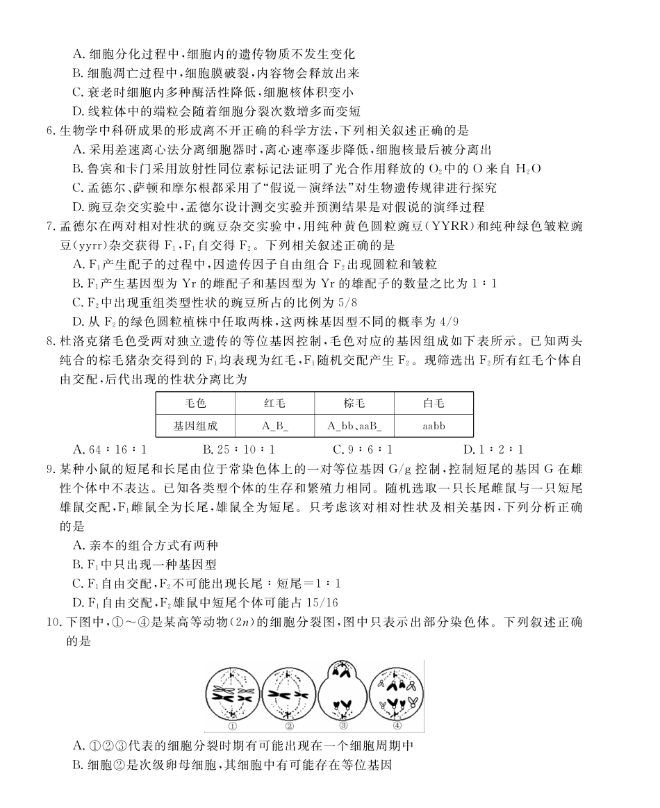 生物-安徽皖南八校2024-2025学年高一下学期4月期中考_副本.pdf_第2页
