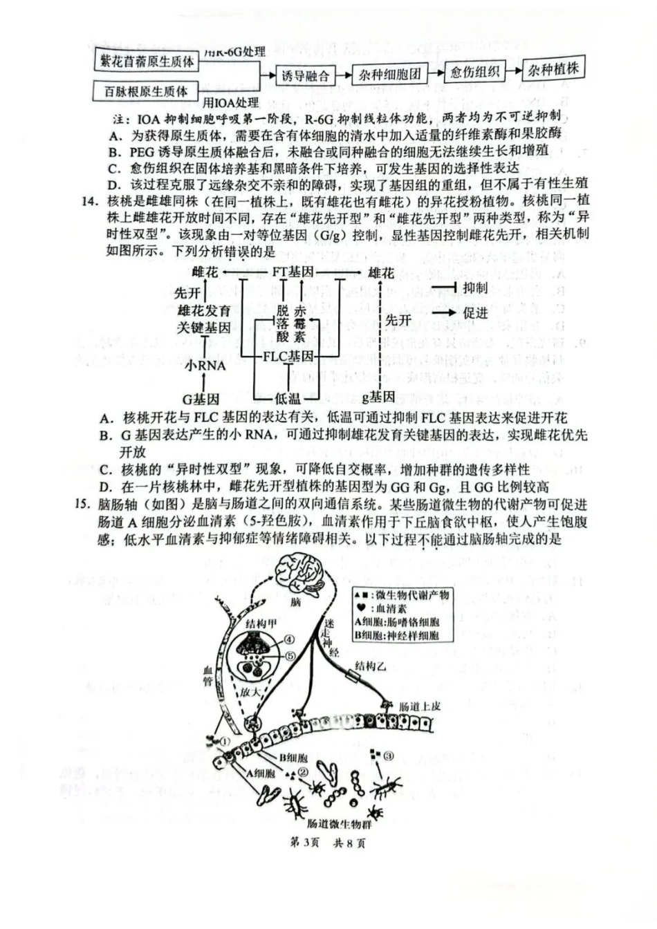 生物广东惠州市、韶关市2026届高三年级4月模拟考试(惠州韶关统考同卷)(惠州韶关高三二模)(4.15-4.17).docx_第3页