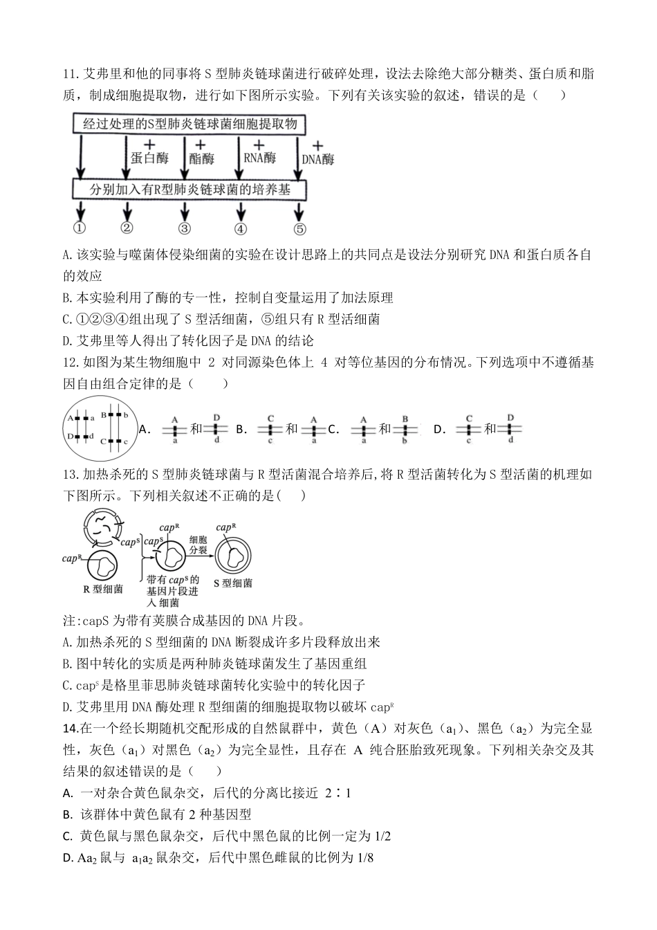 生物-广东湛江市第二十一中学2024-2025学年高一下学期4月月考_副本.pdf_第3页