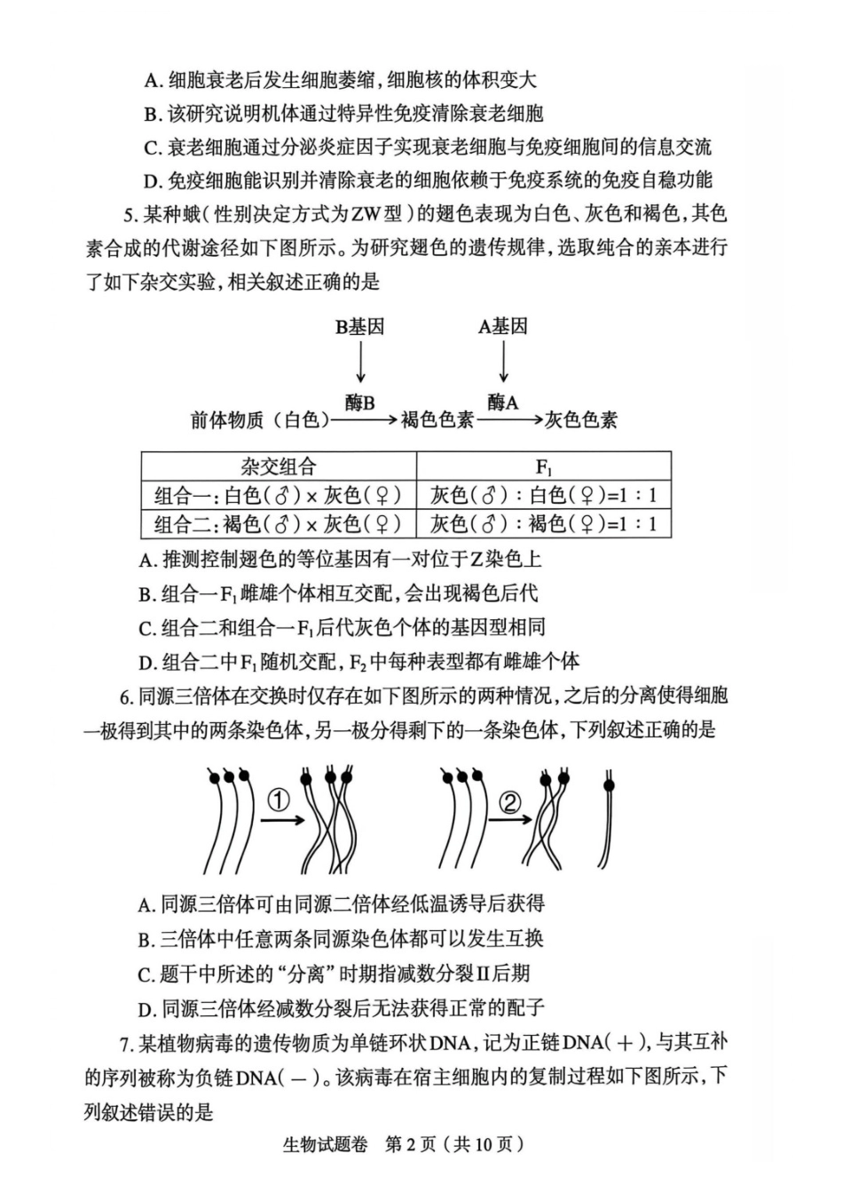 生物河南郑州市2026年高中毕业年级高三年级第二次质量预测(郑州二模)(4.20-4.22).docx_第2页