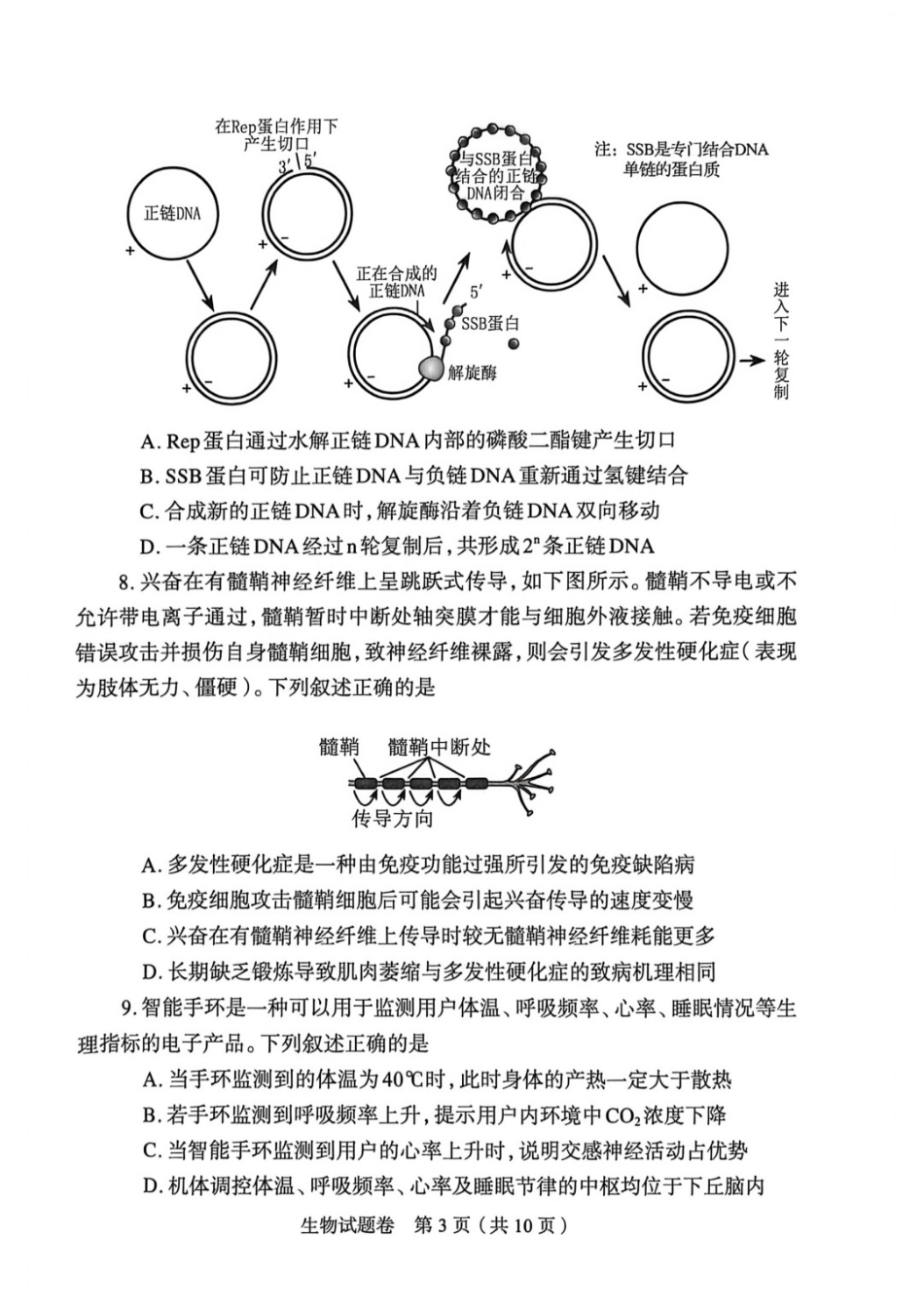 生物河南郑州市2026年高中毕业年级高三年级第二次质量预测(郑州二模)(4.20-4.22).docx_第3页
