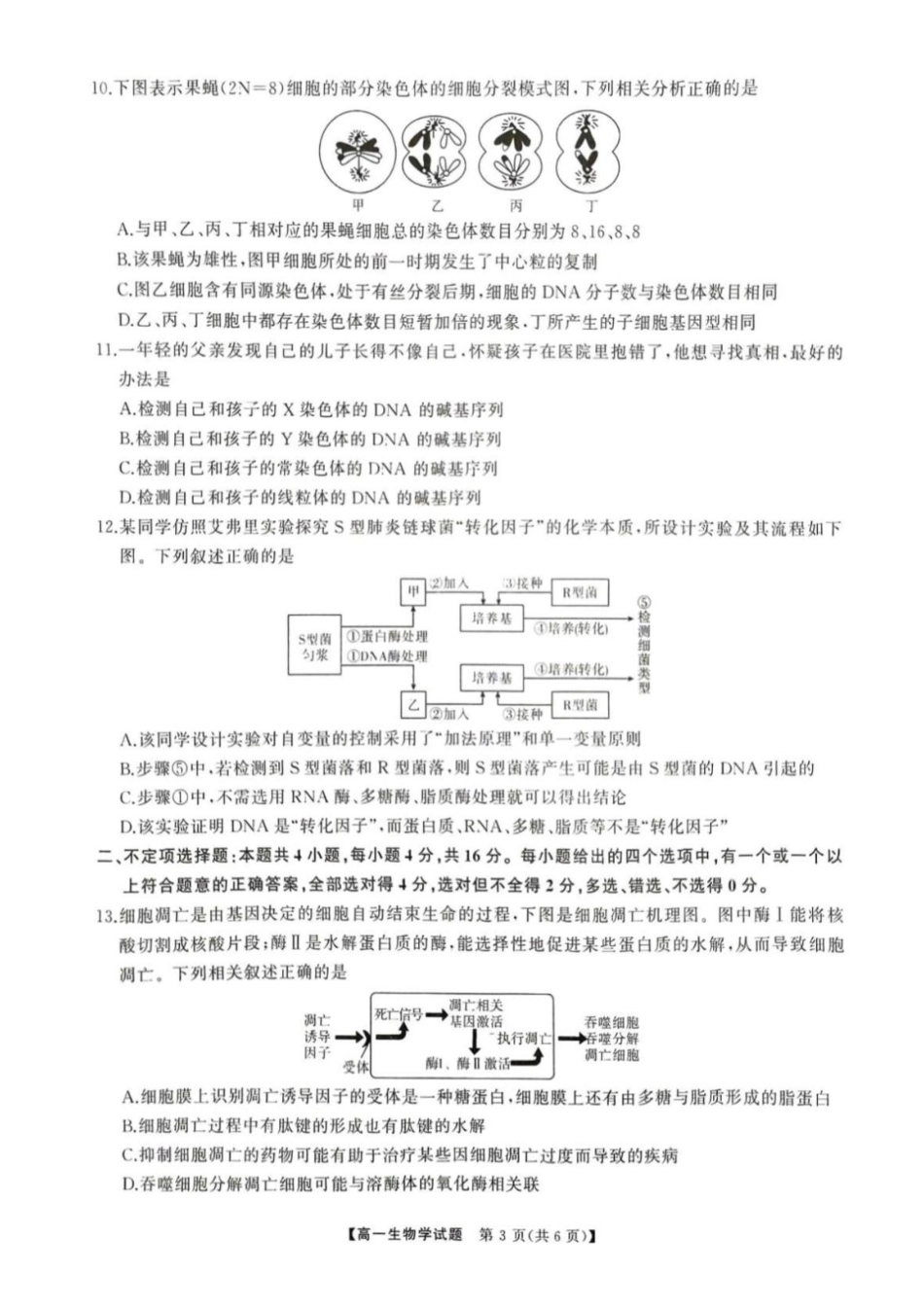 生物-湖南三湘名校教育联盟2024年下学期高一期中大联考_副本.pdf_第3页