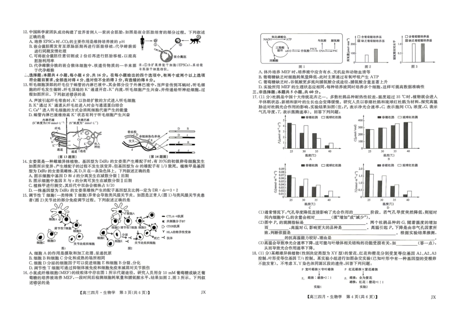 生物江西九师联盟暨部分重点中学2026届高三年级下学期4月测试(下标JX)(4.20-4.21).pdf_第2页