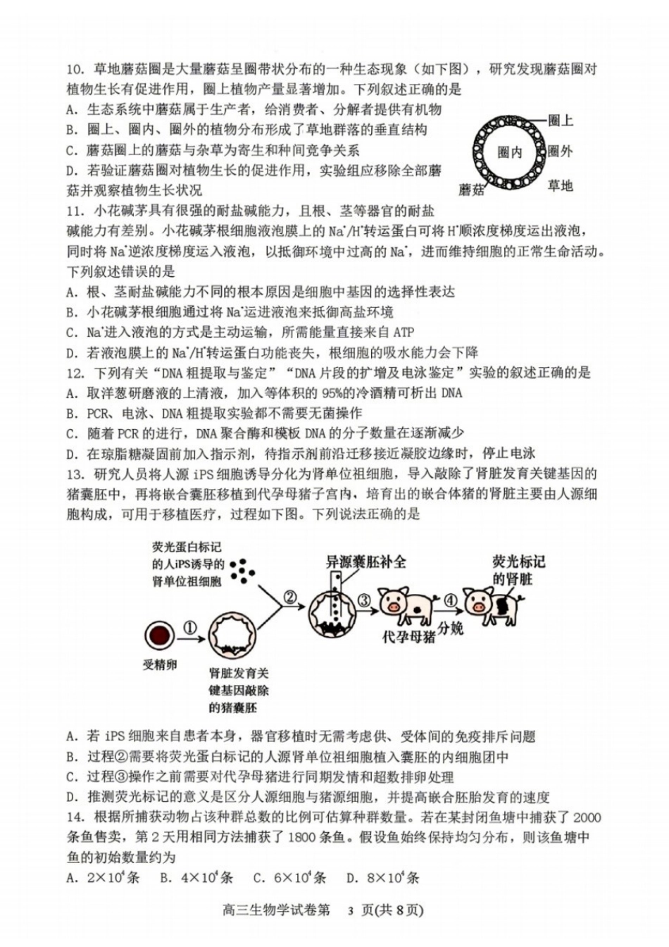 生物辽宁丹东市2026届高三年级教学质量监测(丹东高三一模)(4.7-4.9).docx_第3页