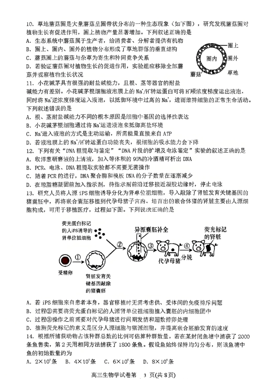生物试题-丹东市2026届高三4月总复习质量测试(含答案).pdf_第3页