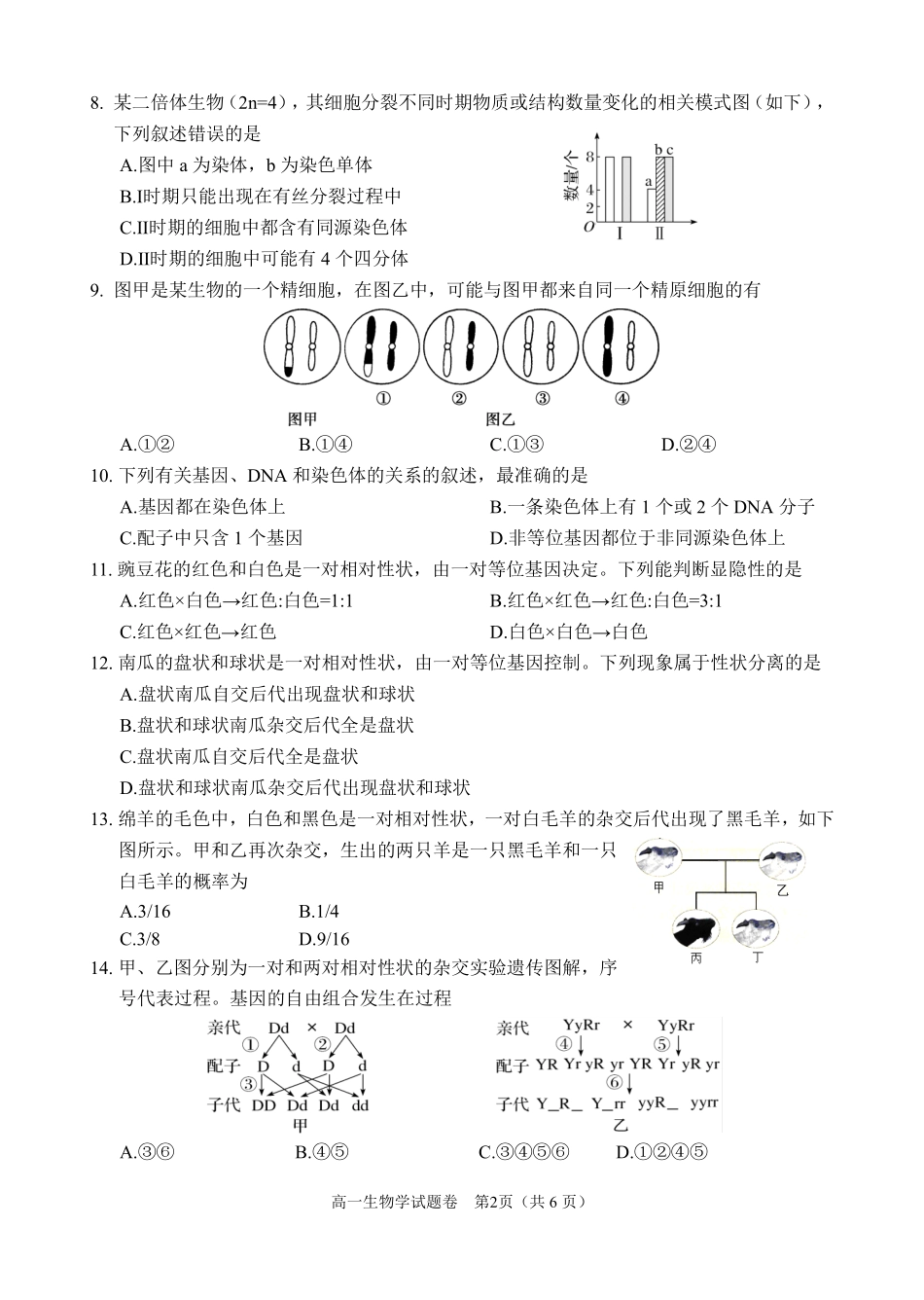 生物-四川大数据学考大联盟2023-2024学年高一下学期期中考_副本.pdf_第2页