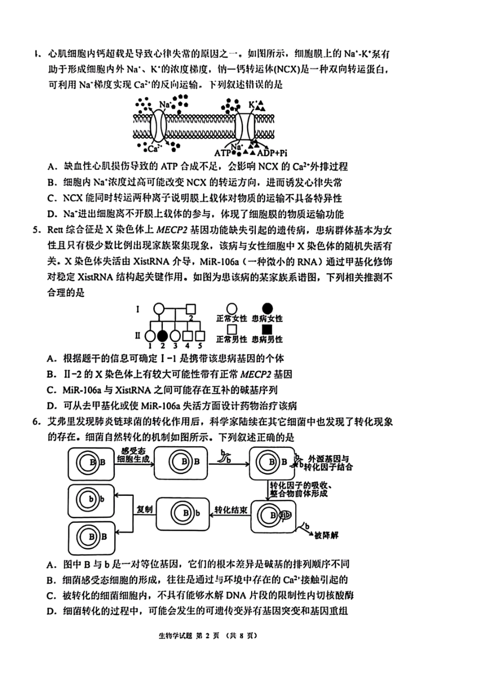生物四川蓉城名校联盟2026届高三第二次联合诊断性考试暨4月联考（4.17-4.18）.pdf_第2页