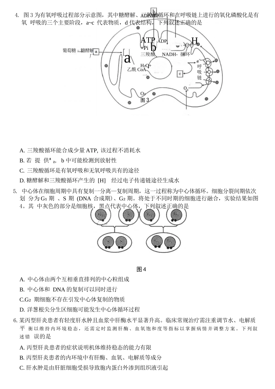 生物重庆市巴蜀中学2026届高三年级4月适应性月考（八）(4.17-4.18).docx_第2页