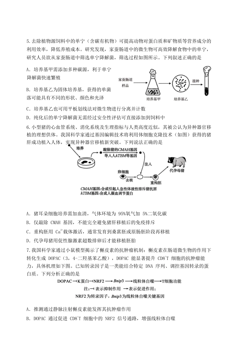 生物重庆市重庆八中高2026届高三年级4月强化训练（一）（4.17-4.18）.docx_第2页
