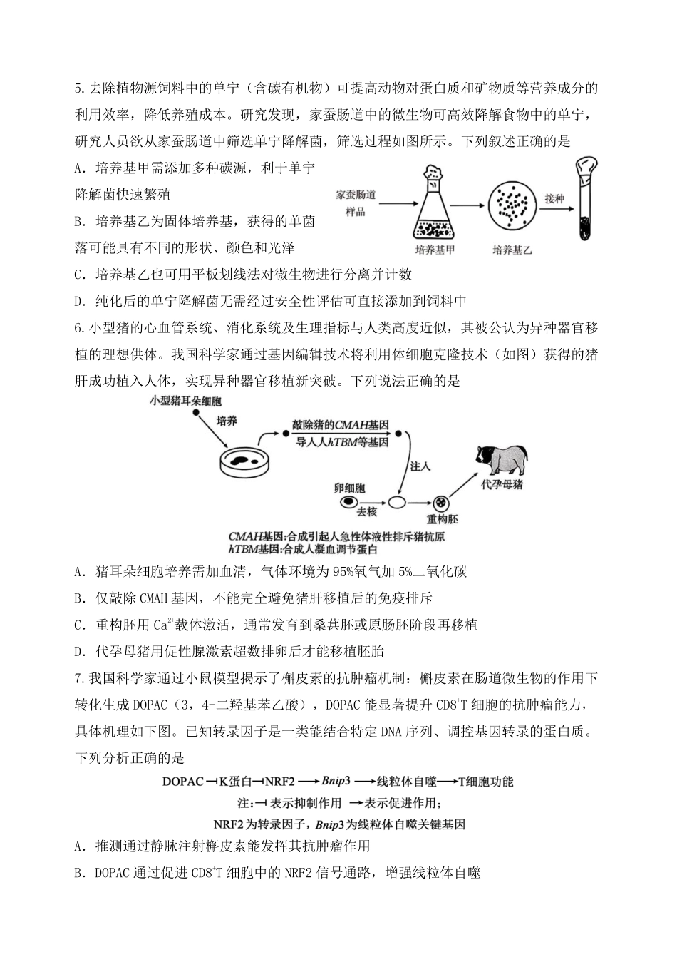 生物重庆市重庆八中高2026届高三年级4月强化训练（一）（4.17-4.18）.pdf_第2页