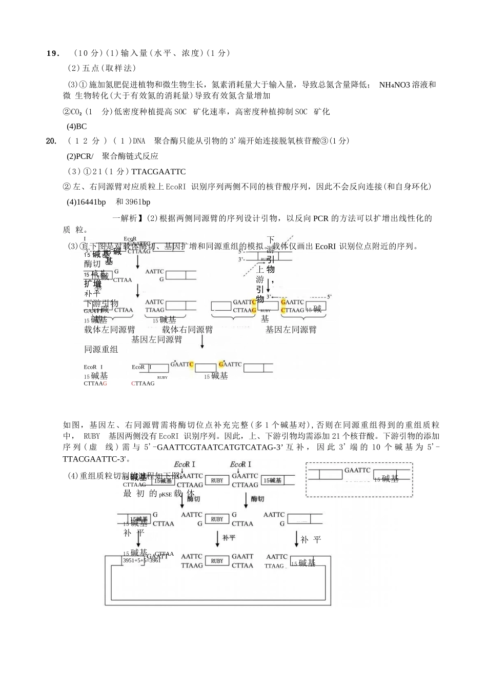 生物重庆市重庆第一一中学校高2026届高三下学期4月二诊考试（4.17-4.18）(1).docx_第3页