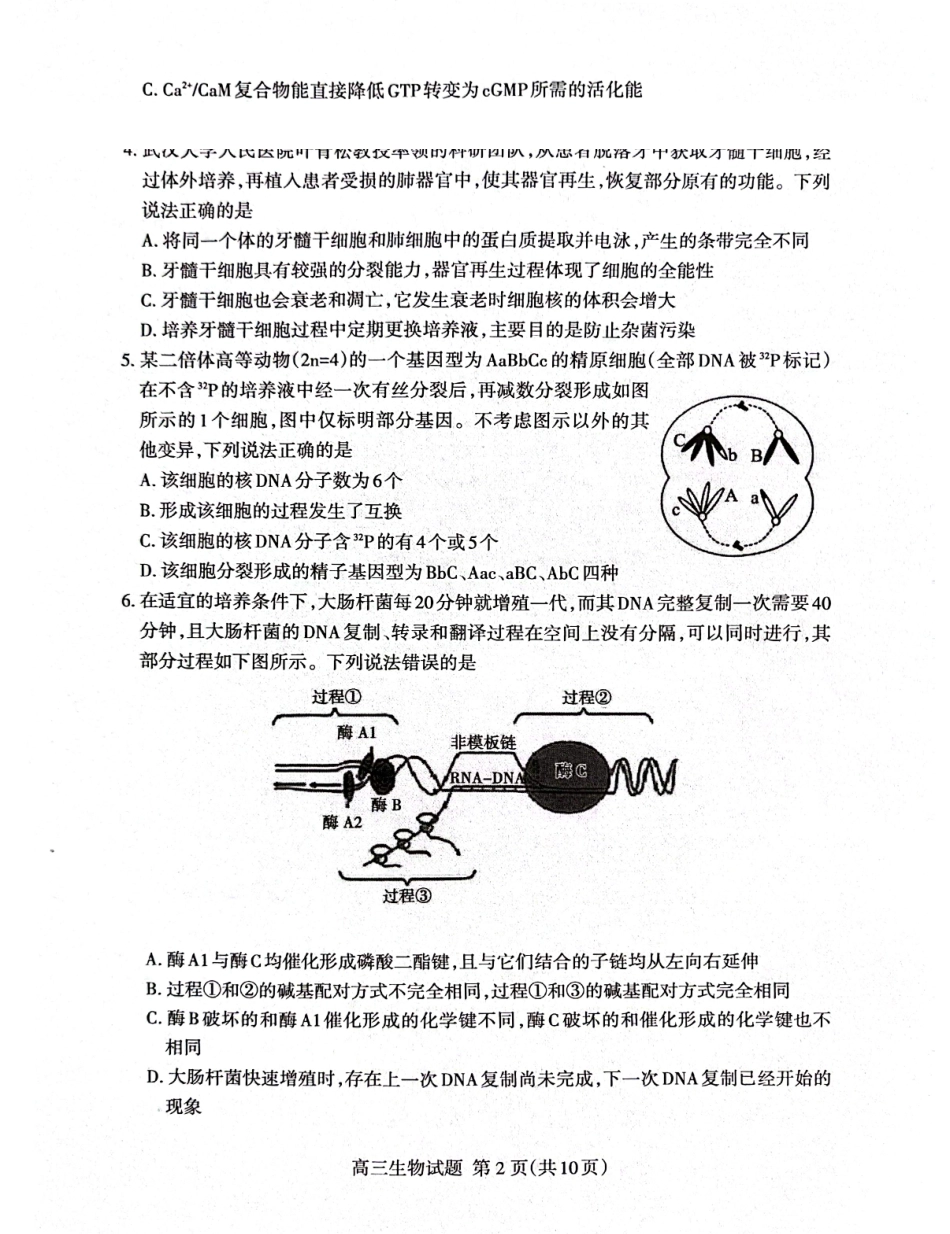 泰安市2026年高三二轮检测生物.pdf_第2页
