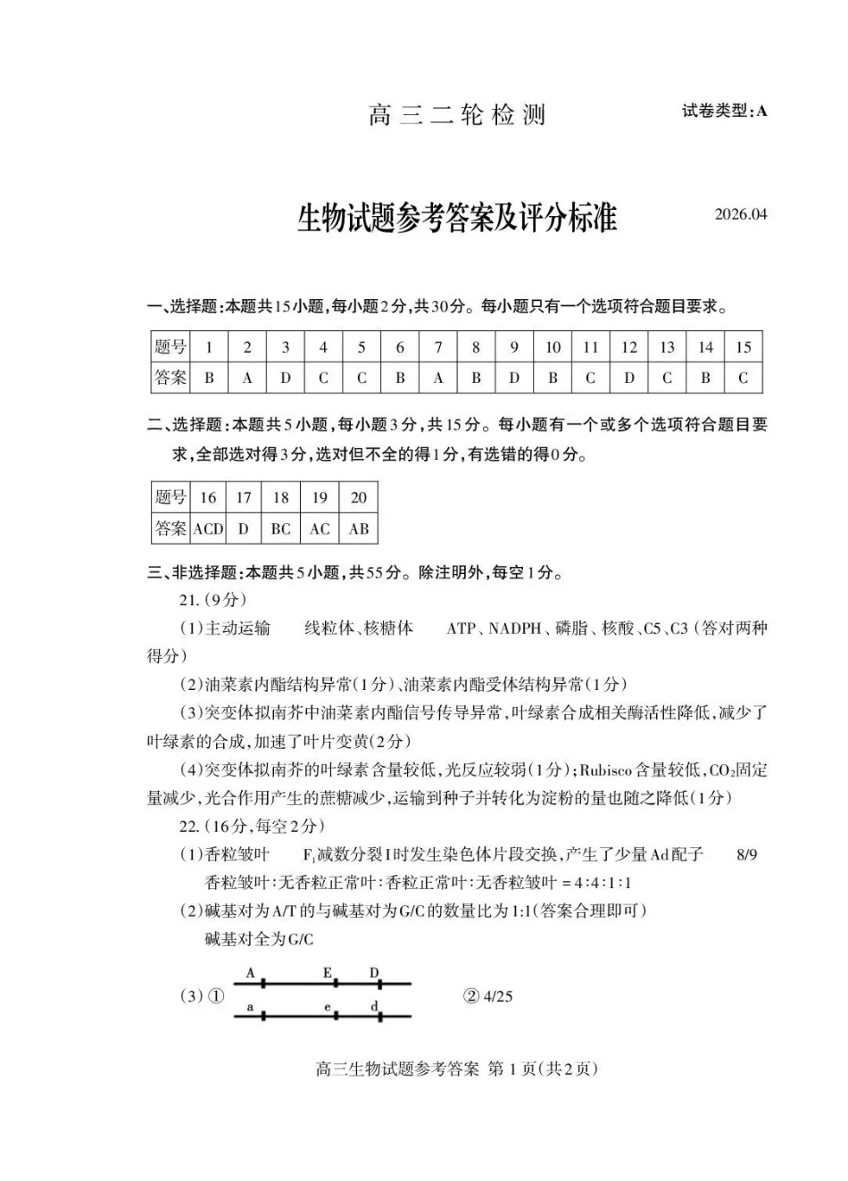 泰安市2026年高三二轮检测生物答案.pdf_第1页